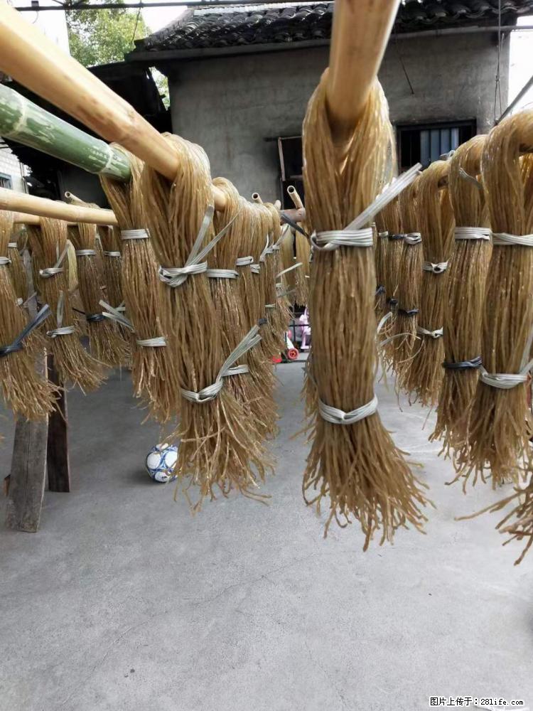 【灌阳正宗红薯粉】美女家里自己做的，干净卫生，假一赔十，价格合理，抢购电话：13737312895 - 美食天地 - 自贡生活社区 - 自贡28生活网 zg.28life.net