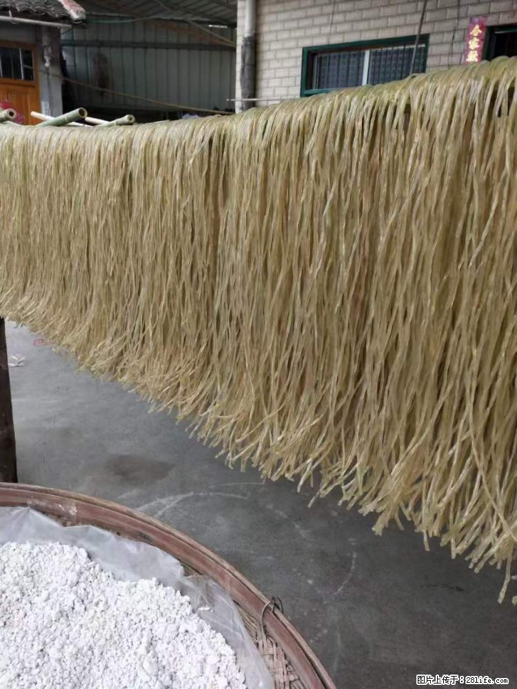 【灌阳正宗红薯粉】美女家里自己做的，干净卫生，假一赔十，价格合理，抢购电话：13737312895 - 美食天地 - 自贡生活社区 - 自贡28生活网 zg.28life.net