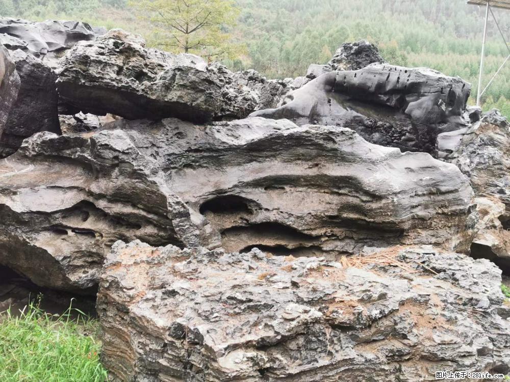风景石、假山石大量有货，有需要的欢迎联系 - 新手上路 - 自贡生活社区 - 自贡28生活网 zg.28life.net