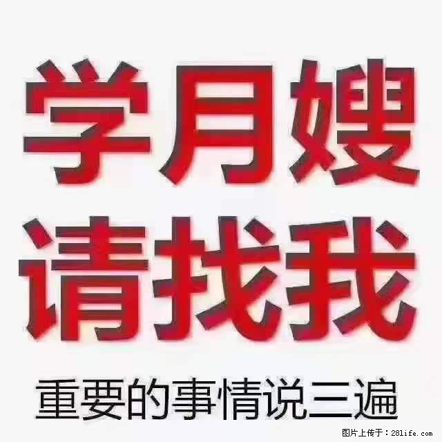 为什么要学习月嫂，育婴师？ - 新手上路 - 自贡生活社区 - 自贡28生活网 zg.28life.net