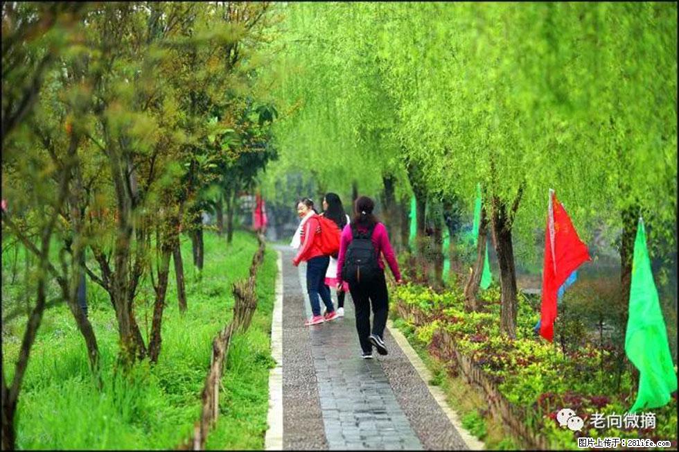 【春天，广西桂林灌阳县向您发出邀请！】江口老街又逢春 - 游山玩水 - 自贡生活社区 - 自贡28生活网 zg.28life.net