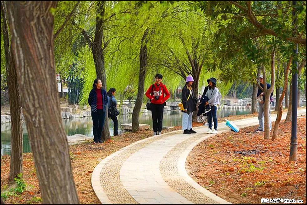 【春天，广西桂林灌阳县向您发出邀请！】江口老街又逢春 - 游山玩水 - 自贡生活社区 - 自贡28生活网 zg.28life.net
