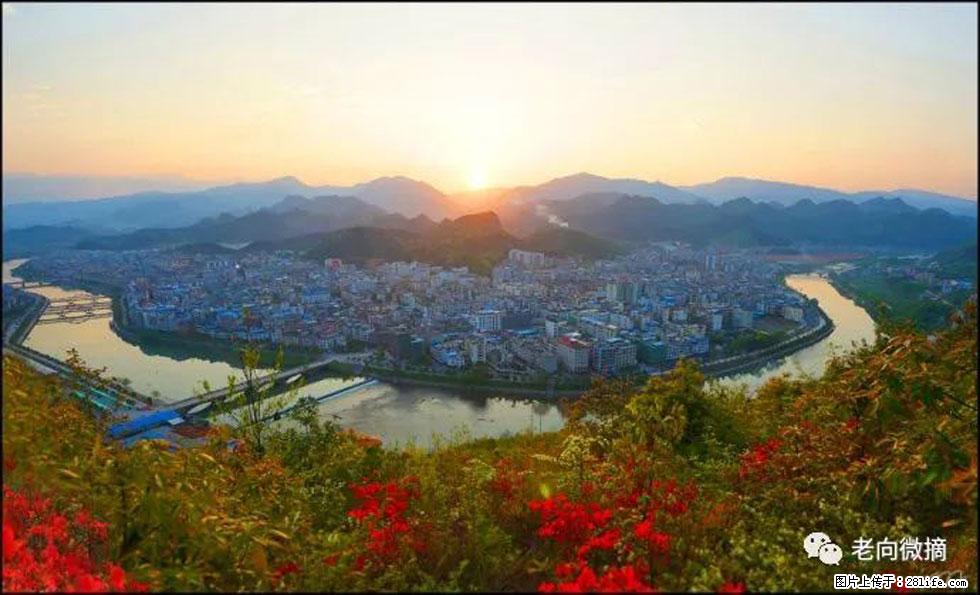 【春天,广西桂林灌阳县向您发出邀请!】登麒麟山,相约映山红 - 游山玩水 - 自贡生活社区 - 自贡28生活网 zg.28life.net