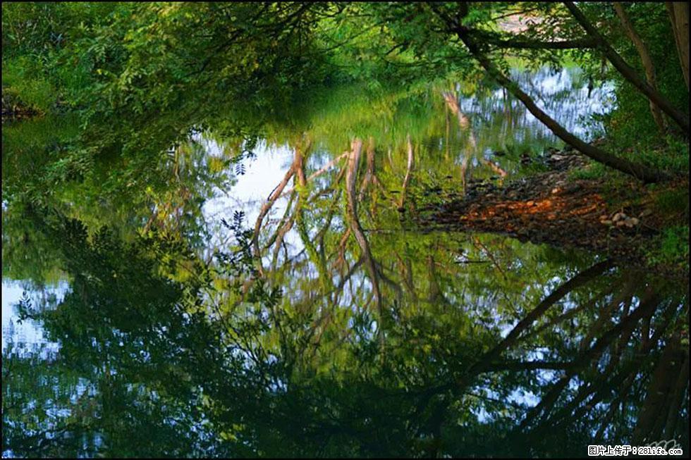 【春天，广西桂林灌阳县向您发出邀请！】熊家寨湿地公园 - 游山玩水 - 自贡生活社区 - 自贡28生活网 zg.28life.net