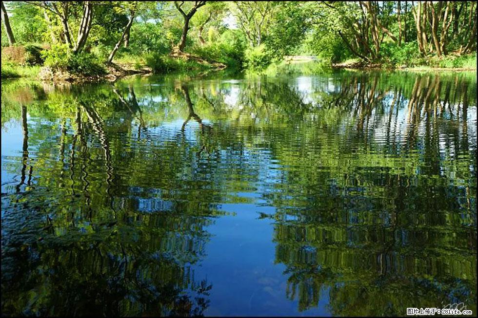 【春天，广西桂林灌阳县向您发出邀请！】熊家寨湿地公园 - 游山玩水 - 自贡生活社区 - 自贡28生活网 zg.28life.net
