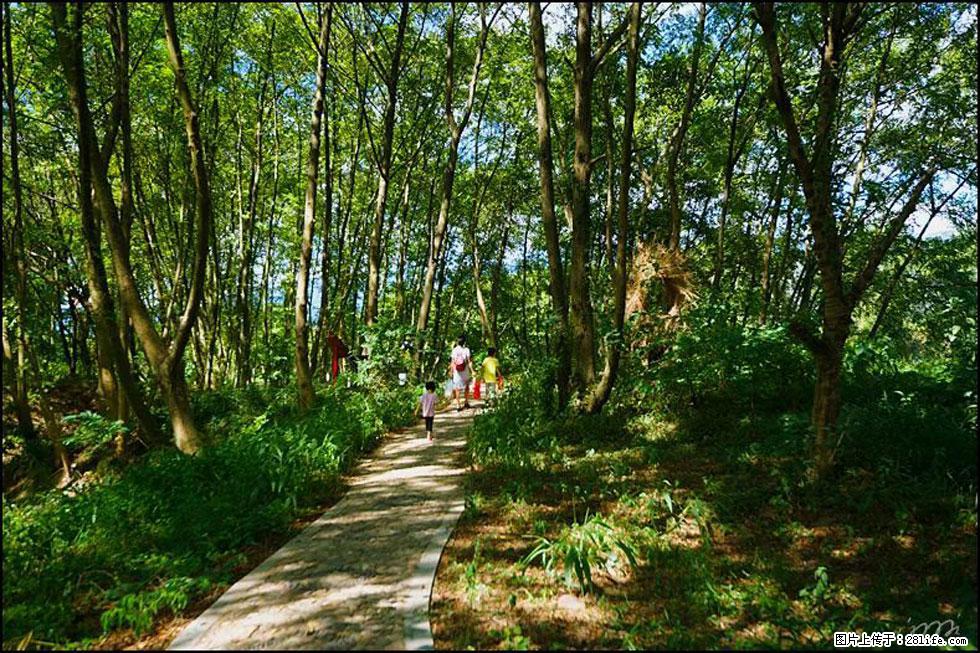 【春天，广西桂林灌阳县向您发出邀请！】熊家寨湿地公园 - 游山玩水 - 自贡生活社区 - 自贡28生活网 zg.28life.net