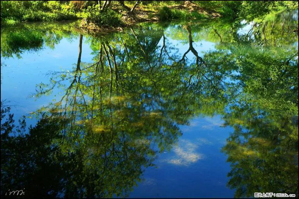 【春天，广西桂林灌阳县向您发出邀请！】熊家寨湿地公园 - 游山玩水 - 自贡生活社区 - 自贡28生活网 zg.28life.net