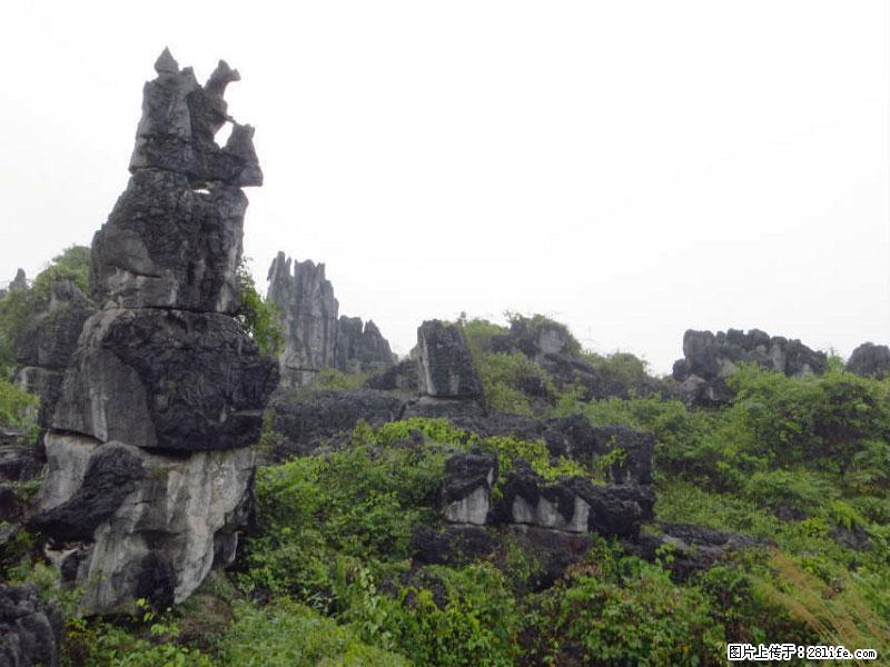 桂林旅游名城景点：灌阳文市石林 - 游山玩水 - 自贡生活社区 - 自贡28生活网 zg.28life.net
