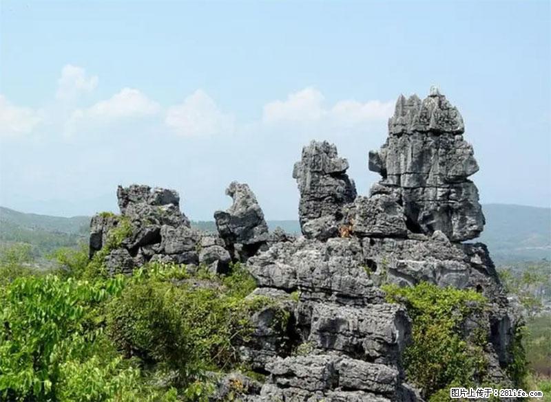 桂林旅游名城景点：灌阳文市石林 - 游山玩水 - 自贡生活社区 - 自贡28生活网 zg.28life.net