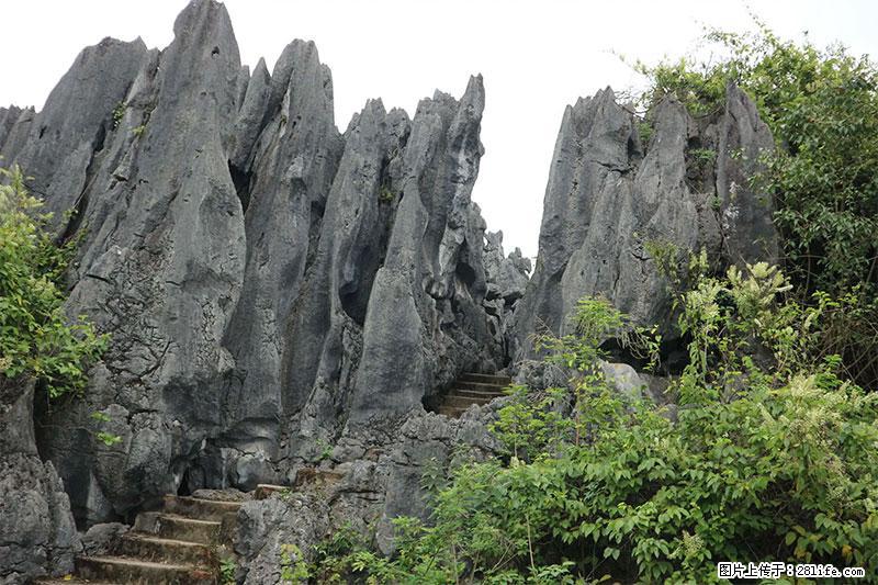 桂林旅游名城景点：灌阳文市石林 - 游山玩水 - 自贡生活社区 - 自贡28生活网 zg.28life.net