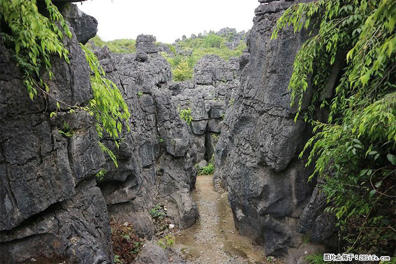桂林旅游名城景点：灌阳文市石林 - 游山玩水 - 自贡生活社区 - 自贡28生活网 zg.28life.net