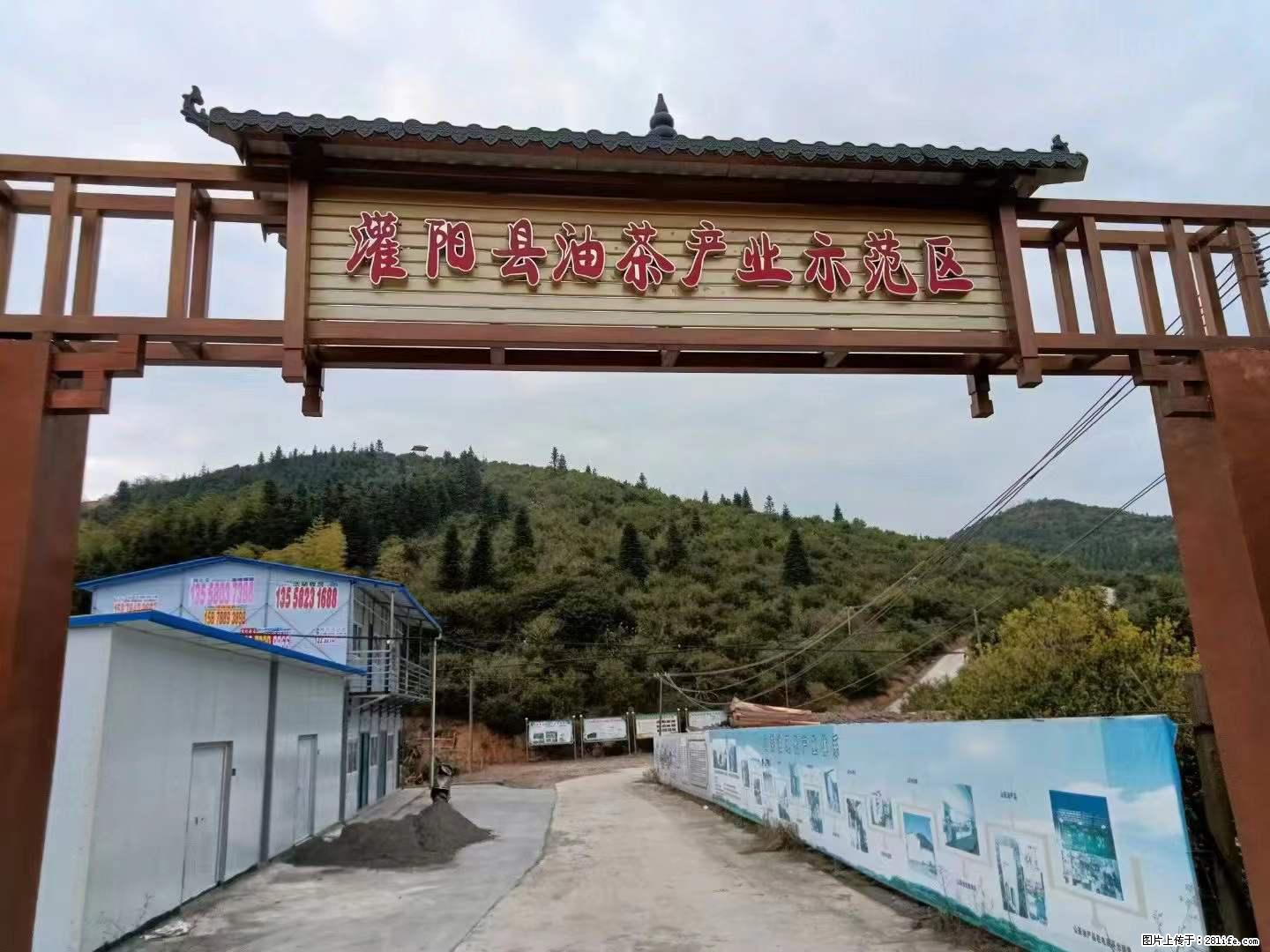 【灌阳县油茶产业示范区】一个有着充实的精神生活的人，对待身外之物自会有一种淡泊的态度 - 土特产 - 饮食特产 - 自贡分类信息 - 自贡28生活网 zg.28life.net