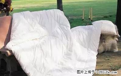 被子有异味？只要这样做，比晒太阳还强100倍！ - 家居生活 - 自贡生活社区 - 自贡28生活网 zg.28life.net