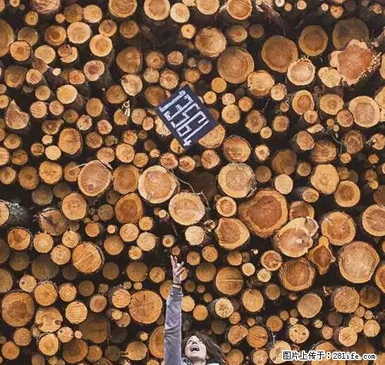 辞掉工作周游世界？现在他们在洗厕所…… - 游山玩水 - 自贡生活社区 - 自贡28生活网 zg.28life.net