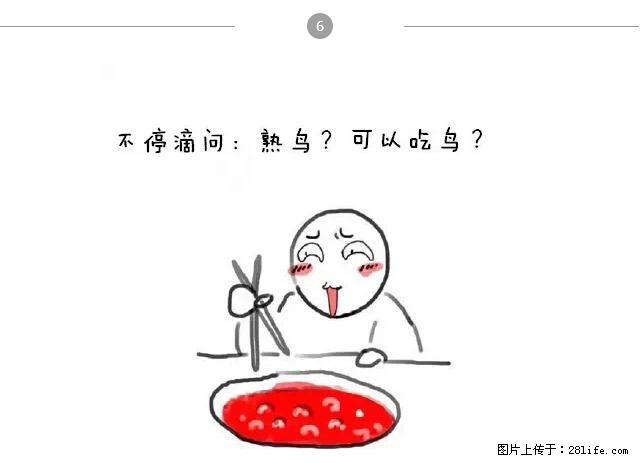 千万不要和这9种哈卵一起吃火锅！ - 美食天地 - 自贡生活社区 - 自贡28生活网 zg.28life.net