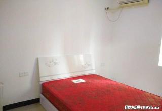 南湖郡西区精装2室1400出租 交通便利 看房方便 - 自贡28生活网 zg.28life.net