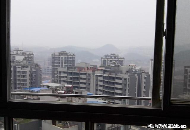 雄飞凯越星城，1室1厅1厨1卫，精装出租，拎包入住 - 房屋出租 - 房屋租售 - 自贡分类信息 - 自贡28生活网 zg.28life.net