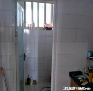龙城国际旁 何家湾新房源出租啦 - 自贡28生活网 zg.28life.net