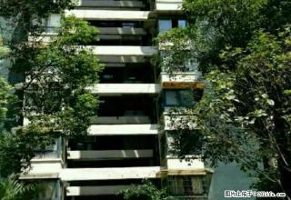 超低租金...可拎包入住 - 自贡28生活网 zg.28life.net