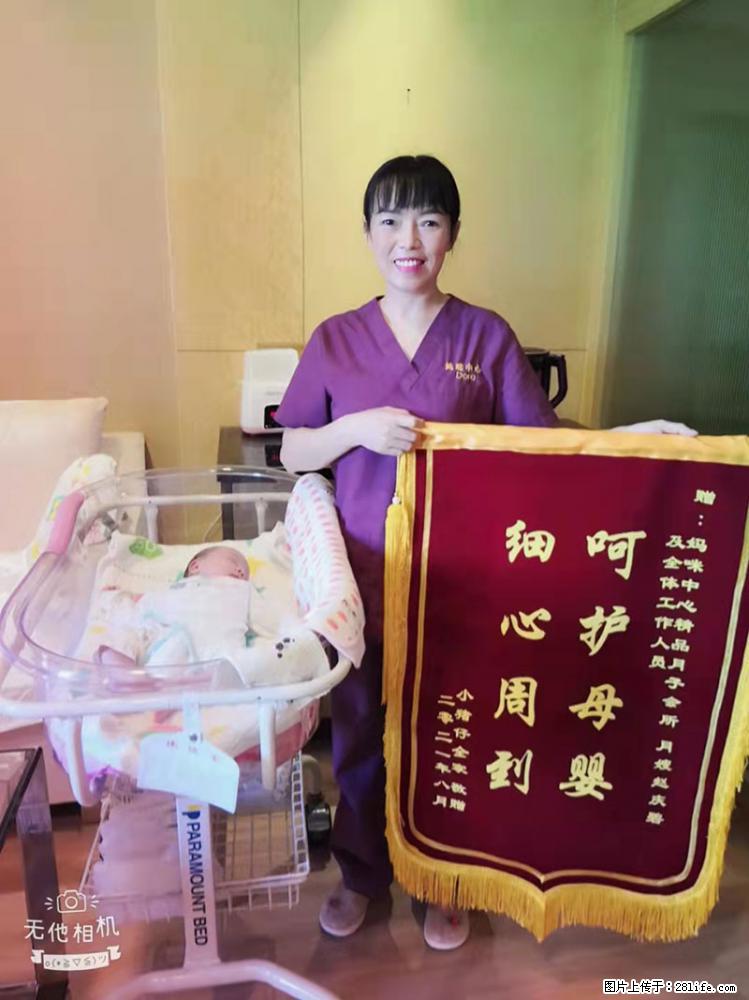 上海高端月子会所招新手月嫂，零基础带教，包吃住 - 职场交流 - 自贡生活社区 - 自贡28生活网 zg.28life.net