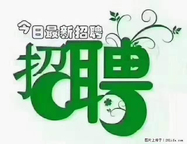 【招聘摄像师】待遇：试用期6000元/月，转正7000元/月+五险一金+餐补+节日福利+奖金 - 职场交流 - 自贡生活社区 - 自贡28生活网 zg.28life.net
