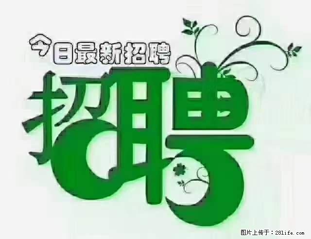 上海隔离酒店招人：55岁以下 男女不限 - 职场交流 - 自贡生活社区 - 自贡28生活网 zg.28life.net