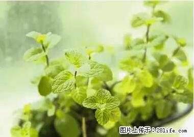 晕车、脚气、牙齿变黄、皮肤粗糙？学会这些三分钟搞定！ - 自贡生活资讯 - 自贡28生活网 zg.28life.net