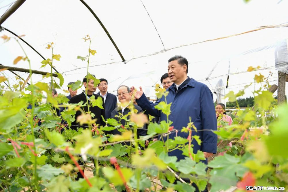 习近平赴广西考察调研 - 自贡生活资讯 - 自贡28生活网 zg.28life.net