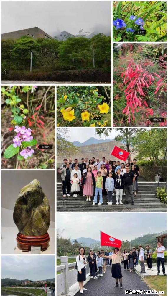 “粤灌文化 美好生活”油茶文化主题活动在广东深圳成功举办 - 自贡生活资讯 - 自贡28生活网 zg.28life.net