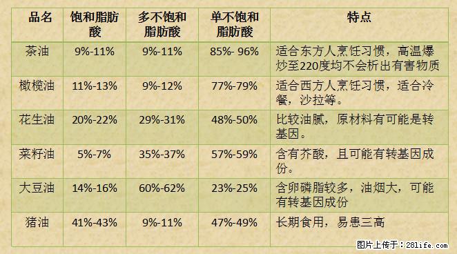 揭秘茶油的5大核心营养成分！被称为人体健康的“守护盾”！ - 自贡生活资讯 - 自贡28生活网 zg.28life.net