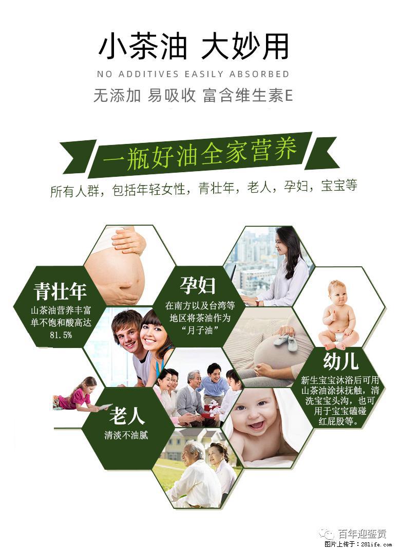世界没有真相，只有认知，最好的食用油是中国的山茶油！ - 自贡生活资讯 - 自贡28生活网 zg.28life.net