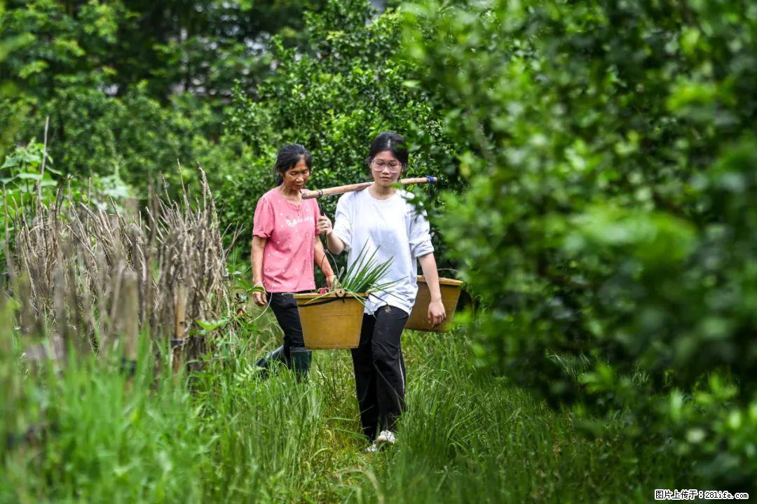 全网追的“扁担女孩”，找了一份暑假工，时薪12元 - 自贡生活资讯 - 自贡28生活网 zg.28life.net