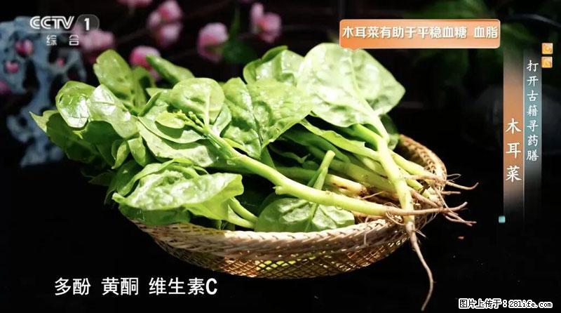 比牛奶补钙还厉害！凉血解毒、稳血糖...这菜冬天必吃，很多人却当草 - 自贡生活资讯 - 自贡28生活网 zg.28life.net