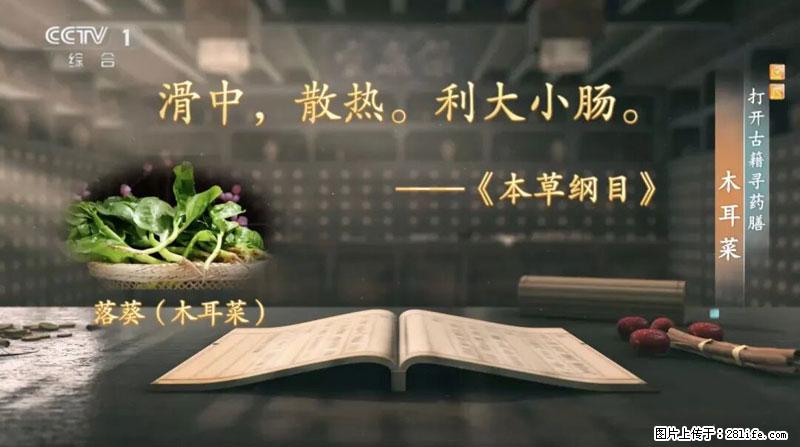 比牛奶补钙还厉害！凉血解毒、稳血糖...这菜冬天必吃，很多人却当草 - 自贡生活资讯 - 自贡28生活网 zg.28life.net