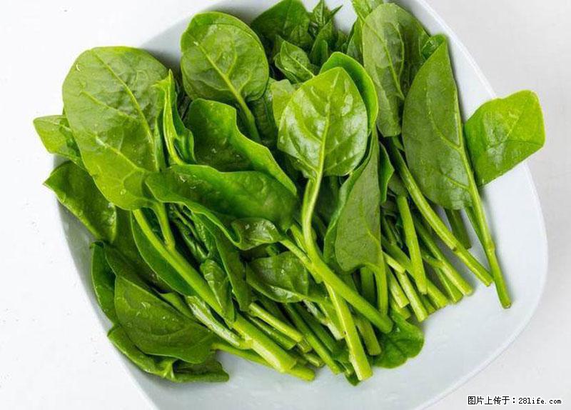 这些蔬菜是“天然钙片”，这6种被医生重点推荐 - 自贡生活资讯 - 自贡28生活网 zg.28life.net