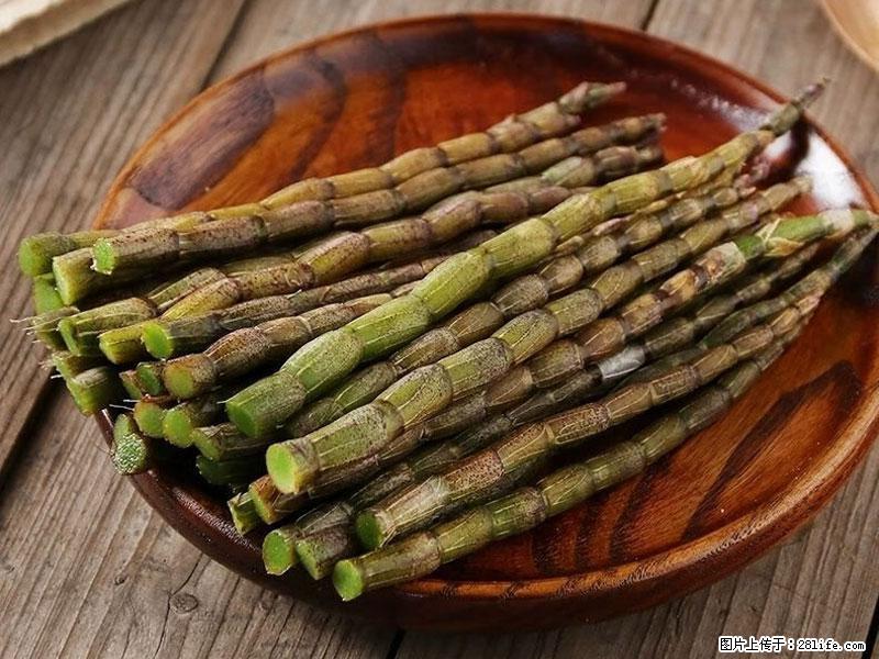 铁皮石斛的作用与功能主治 - 自贡生活资讯 - 自贡28生活网 zg.28life.net
